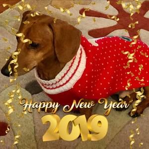 Meet your Posher, Betty